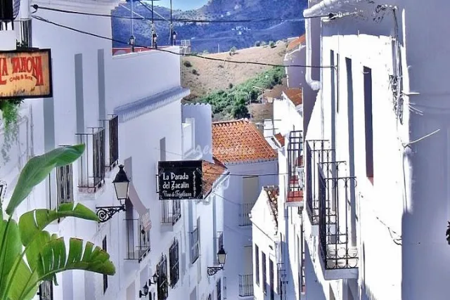 Alojamiento turístico CORTIJO TRIVIÑO en FRIGILIANA · MÁLAGA