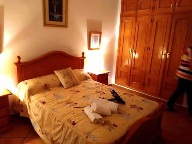 VILLA CELESTINA en ALMÁCHAR — miniatura 16