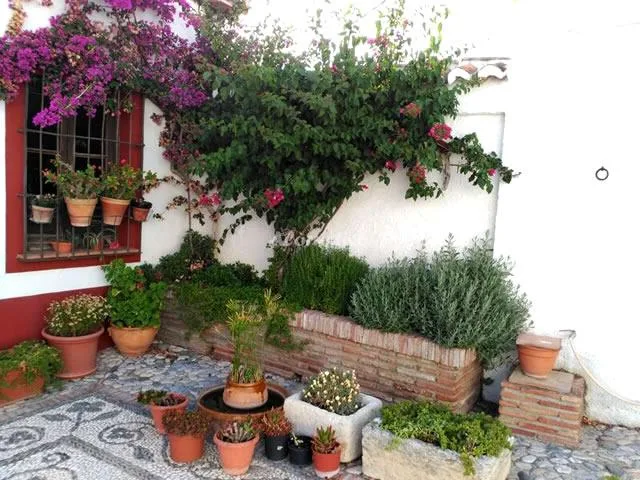 CONJUNTO AL ANDALUS - CASA LAGARILLO en ALCAUCÍN — miniatura 18