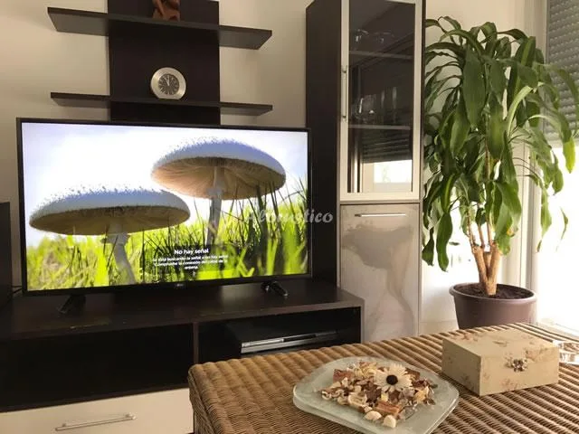 CHALET CHILCHES en CHILCHES — miniatura 9