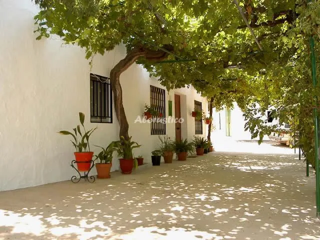 CORTIJO LA HIGUERILLA en VILLANUEVA DEL TRABUCO — miniatura 16