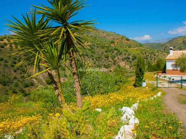 Alojamiento turístico LA ROSILLA en ALMOGÍA · MÁLAGA
