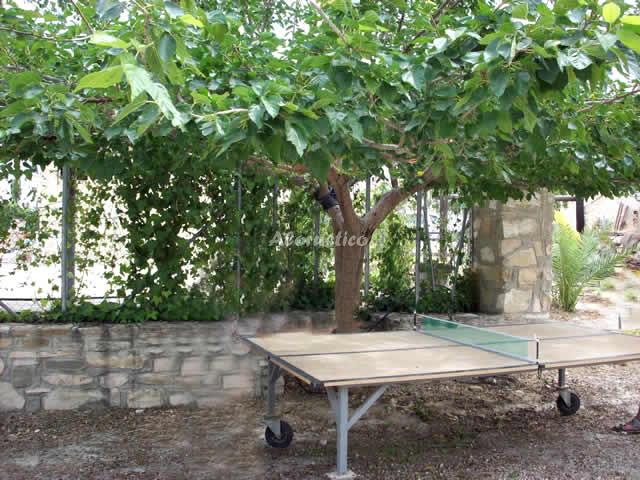 CORTIJO PIEDRA MONTORO-CASA 2 (NOELIA) en MORATALLA — foto 3