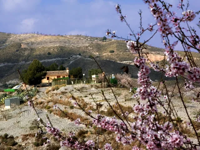 Alojamiento turístico LA SOLANA en LORCA · MURCIA
