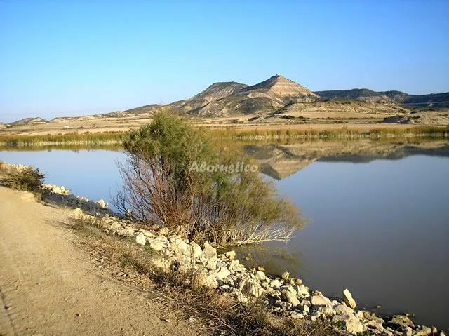 Alojamiento turístico GIGANTES DE NAVARRA en BUÑUEL · NAVARRA