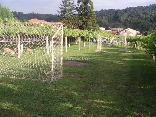 HOTEL EIRADO DO PINO-HAB. MATRIMONIO VISTAS FINCA en SIMES-MEAÑO — miniatura 12