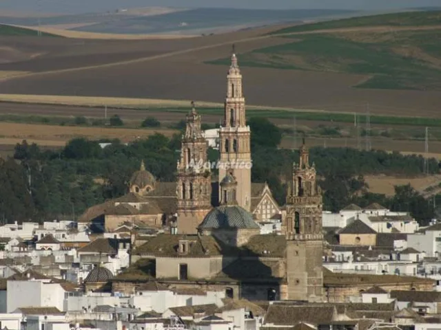 Alojamiento turístico HACIENDA LA PALMA-CASA DEL MOLINO en ÉCIJA · SEVILLA