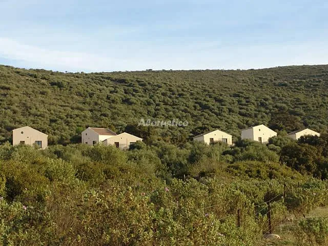 Alojamiento turístico CORTIJO LA CAÑADA - PASOS LARGOS en ESTEPA · SEVILLA