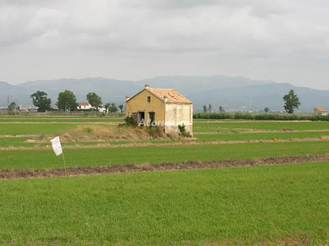 APARTAMENTO RIUMAR en DELTEBRE — miniatura 4