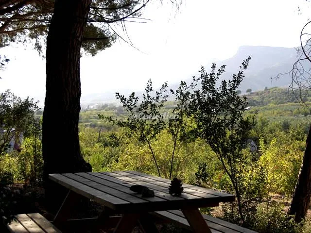 MAS FULLAT en ALFORJA — miniatura 7