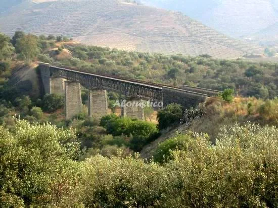 MIRADOR DEL VALLE--SUITE-- en VILLAFUERTE DE ESGUEVA — miniatura 4