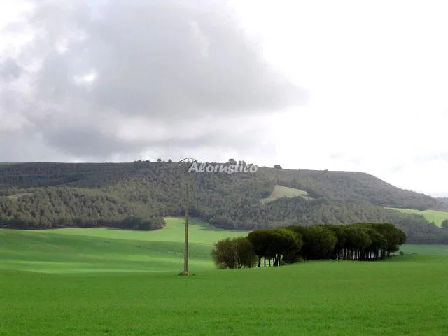 MIRADOR DEL VALLE--SUITE-- en VILLAFUERTE DE ESGUEVA — miniatura 12