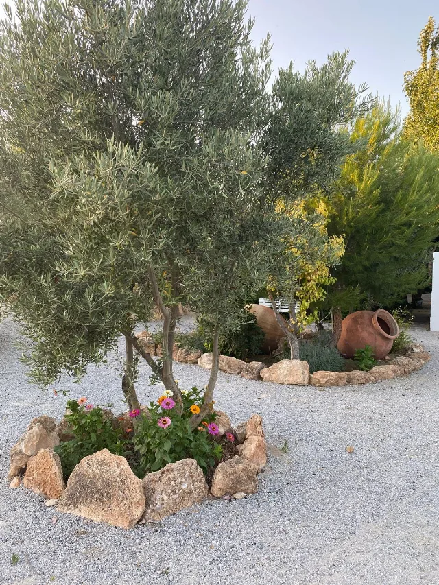 Alojamiento turístico CORTIJO BUSTAMANTE en BAZA · GRANADA
